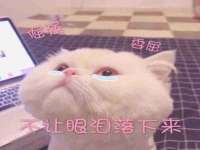 泉州酷游旅游服务有限公司