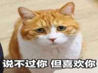 泉州酷游旅游服务有限公司