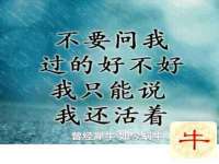 泉州酷游旅游服务有限公司