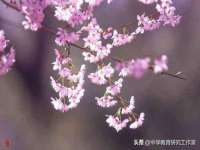 泉州酷游旅游服务有限公司