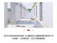 泉州酷游旅游服务有限公司