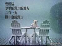 泉州酷游旅游服务有限公司