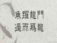 泉州酷游旅游服务有限公司