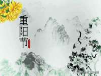 泉州酷游旅游服务有限公司