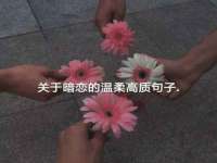泉州酷游旅游服务有限公司