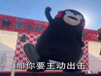 泉州酷游旅游服务有限公司
