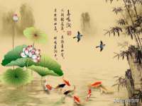 泉州酷游旅游服务有限公司