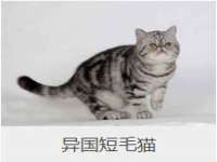 泉州酷游旅游服务有限公司