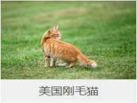 泉州酷游旅游服务有限公司