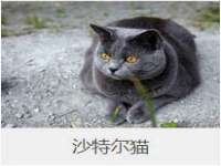 泉州酷游旅游服务有限公司