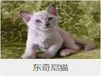 泉州酷游旅游服务有限公司