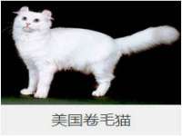 泉州酷游旅游服务有限公司