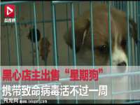 泉州酷游旅游服务有限公司