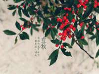 泉州酷游旅游服务有限公司