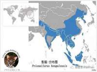 泉州酷游旅游服务有限公司