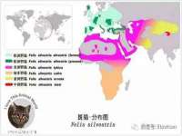 泉州酷游旅游服务有限公司