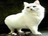 泉州酷游旅游服务有限公司