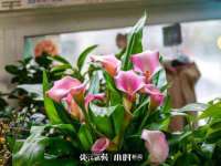 泉州酷游旅游服务有限公司