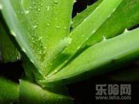 泉州酷游旅游服务有限公司