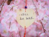 泉州酷游旅游服务有限公司