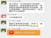 泉州酷游旅游服务有限公司