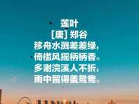 泉州酷游旅游服务有限公司