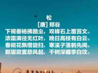 泉州酷游旅游服务有限公司
