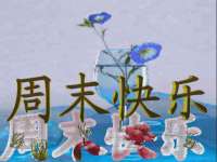 泉州酷游旅游服务有限公司