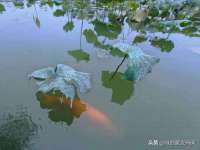 泉州酷游旅游服务有限公司