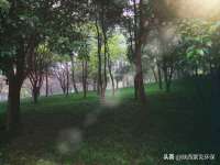 泉州酷游旅游服务有限公司