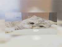 泉州酷游旅游服务有限公司