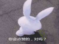 泉州酷游旅游服务有限公司