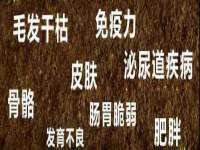 泉州酷游旅游服务有限公司