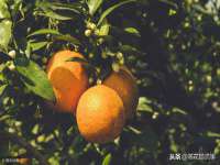 泉州酷游旅游服务有限公司