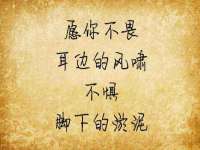 泉州酷游旅游服务有限公司