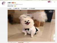 泉州酷游旅游服务有限公司
