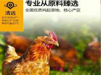 泉州酷游旅游服务有限公司