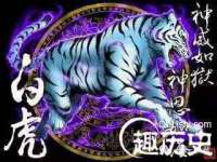 泉州酷游旅游服务有限公司