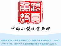 泉州酷游旅游服务有限公司