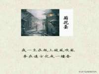 泉州酷游旅游服务有限公司