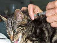 泉州酷游旅游服务有限公司