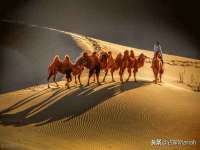 泉州酷游旅游服务有限公司