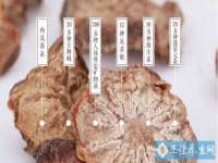 泉州酷游旅游服务有限公司
