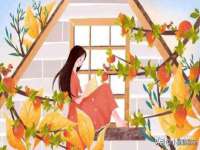 泉州酷游旅游服务有限公司