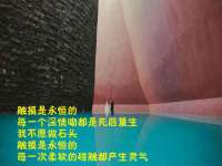 泉州酷游旅游服务有限公司