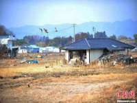 泉州酷游旅游服务有限公司