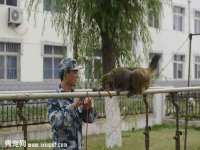 泉州酷游旅游服务有限公司