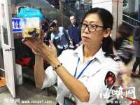 泉州酷游旅游服务有限公司