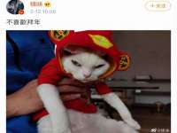 泉州酷游旅游服务有限公司
